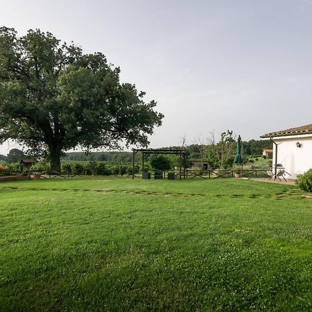 Agriturismo Il Poggio Vetralla Exteriör bild