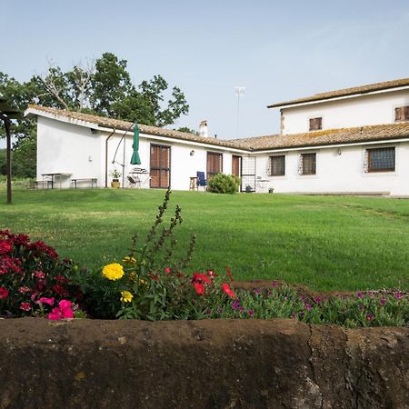 Agriturismo Il Poggio Vetralla Exteriör bild