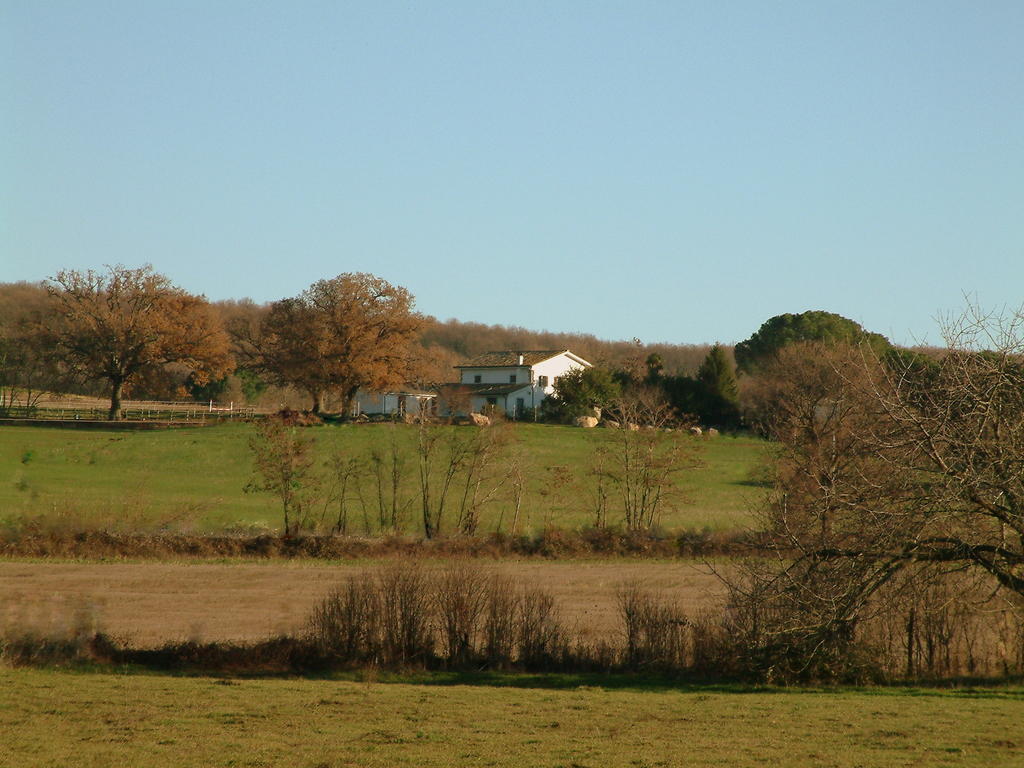 Agriturismo Il Poggio Vetralla Exteriör bild