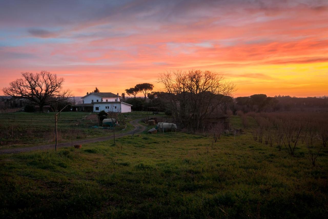 Agriturismo Il Poggio Vetralla Exteriör bild