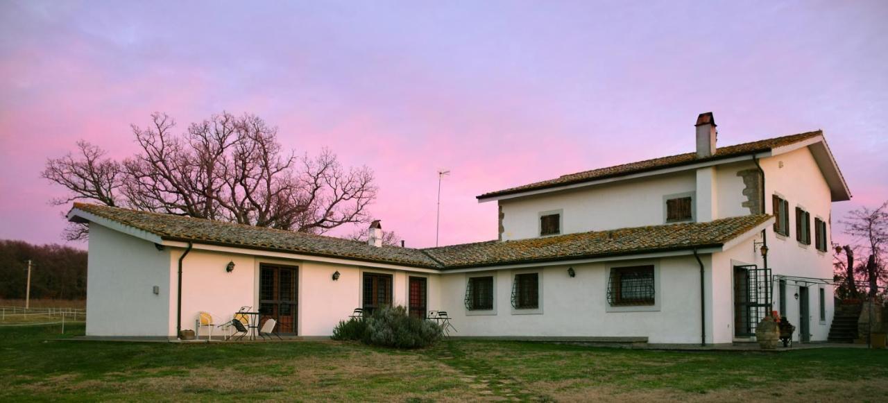 Agriturismo Il Poggio Vetralla Exteriör bild