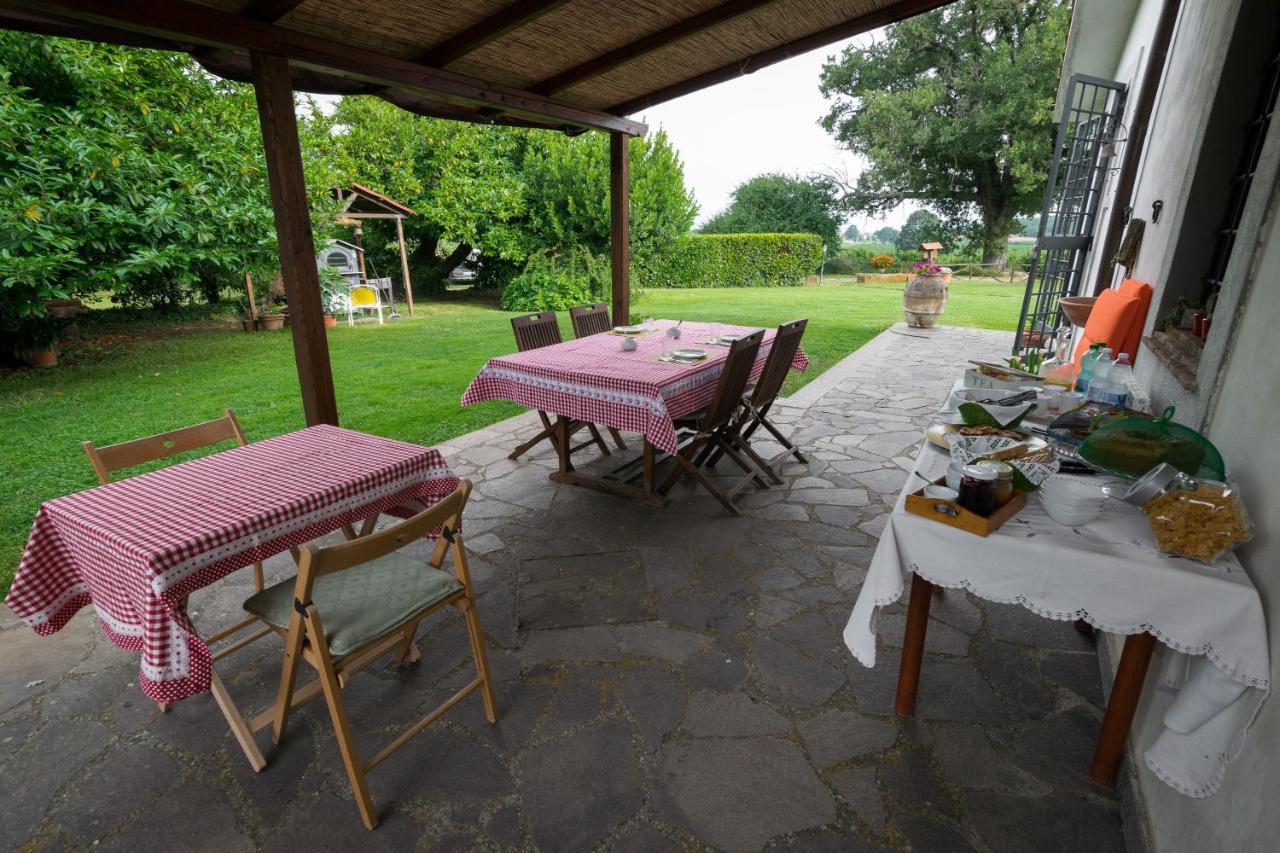 Agriturismo Il Poggio Vetralla Exteriör bild