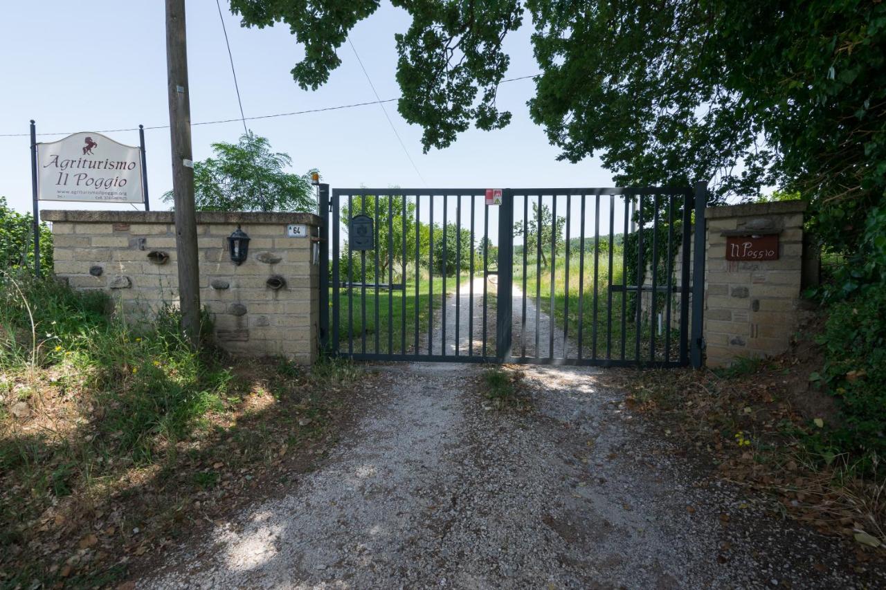 Agriturismo Il Poggio Vetralla Exteriör bild