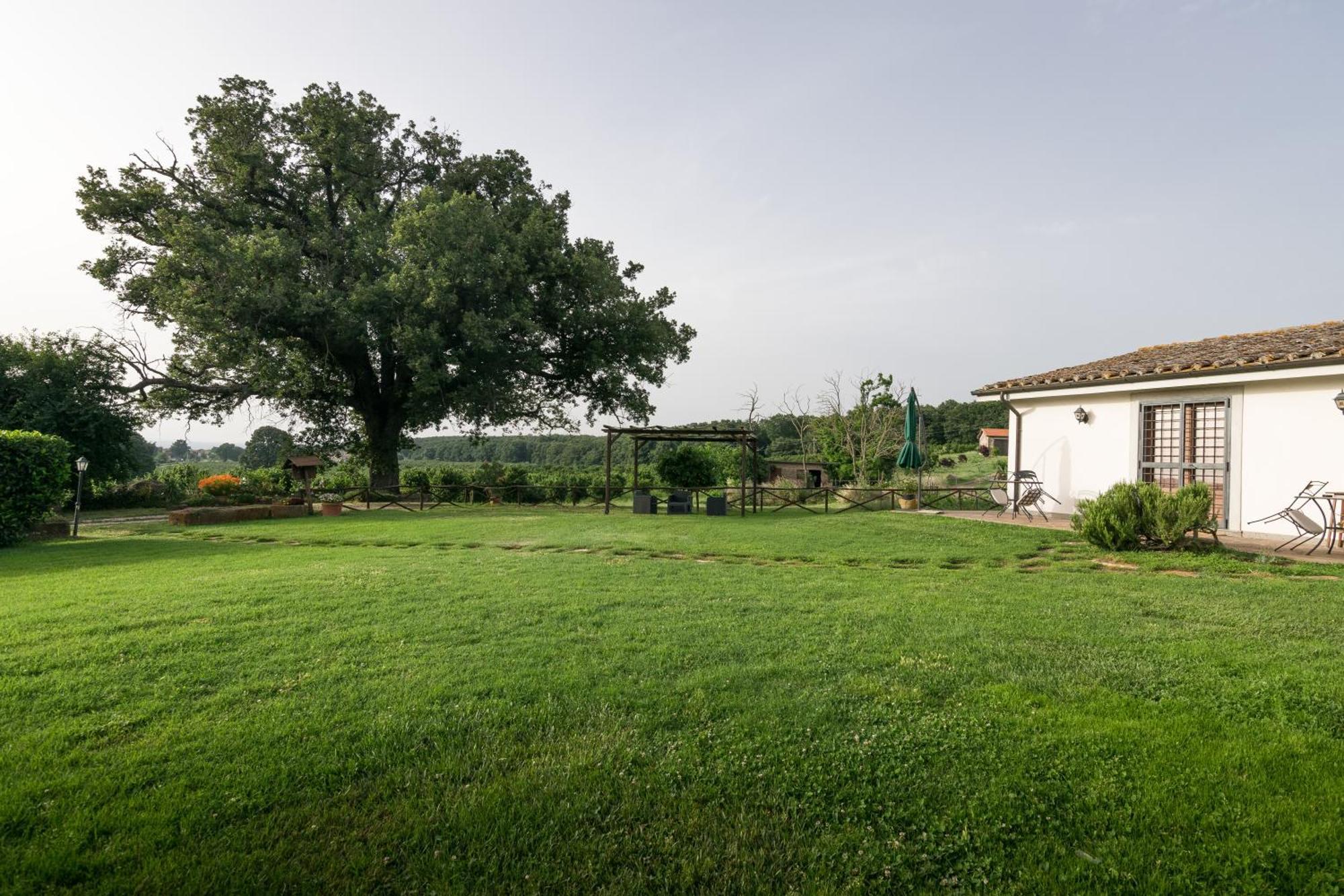 Agriturismo Il Poggio Vetralla Exteriör bild