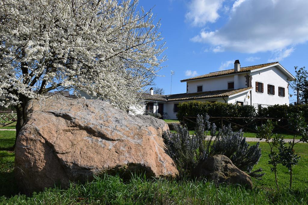 Agriturismo Il Poggio Vetralla Exteriör bild